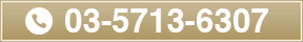 03-5713-6307